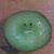 Nick Meese's profile image