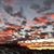 Quy Pham's profile image