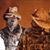 Chris Russell's profile image