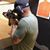 Christopher Nicholas Reams's profile image