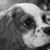 Brandy Lynn's profile image