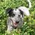 Karen Townsend's profile image