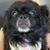 Dorothea Dottie Tayah Bunch's profile image