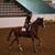 Kristi 'Kangas' Miller's profile image