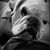 Kim Cahoon-Tucker's profile image