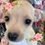 Fretta Quinton's profile image