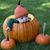 Matthew Pegolo's profile image