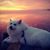 Alyce Meserve's profile image