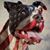 Heidi Jane's profile image