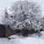 Michelle Johnston Mitchell's profile image