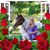 Gayle Snyder-Baker's profile image