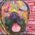 MichaelandSue Morton's profile image