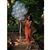 Lacey Sasseen's profile image
