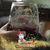 Rosemarie DeVico's profile image