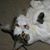 Bridget Febus's profile image