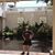 Daniella Gigante's profile image