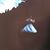 Ean Janousek's profile image