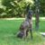 Lisa Clyne's profile image