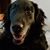 Amy Suggars's profile image
