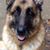 Lisa Weikel's profile image