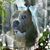 Mike Shields's profile image