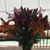 Stephanie Haddad's profile image