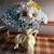 Mary Gloede Ciske's profile image
