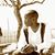 Marquise Jones's profile image