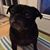 Lance B Jeffers's profile image