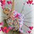Debi Medovic's profile image