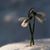 Jessica Carpenter's profile image