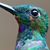 Jezer Reynold's profile image