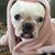 Holly Allen's profile image