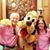 Maryanne Luchini's profile image