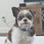 Tor Asuncion's profile image
