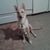 Susan Shorb Reed's profile image