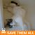 Stacy Catldy's profile image