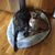 Cynthia Leath Howlett's profile image
