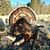 Antonio Jose's profile image