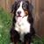 Heather Young's profile image