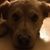 Debbie Moyer Keffer's profile image
