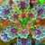 Karen Scahill-Stiles's profile image