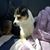 Kevin Demers's profile image