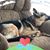 Louise Reutter McGannon's profile image