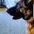 Kim Eldredge Costa's profile image
