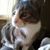 Rose Westervelt's profile image