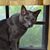 Debra Harvey's profile image