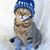Ernest Morris's profile image