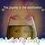 Shugart Cindy's profile image