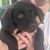 Rosemary Bernath's profile image
